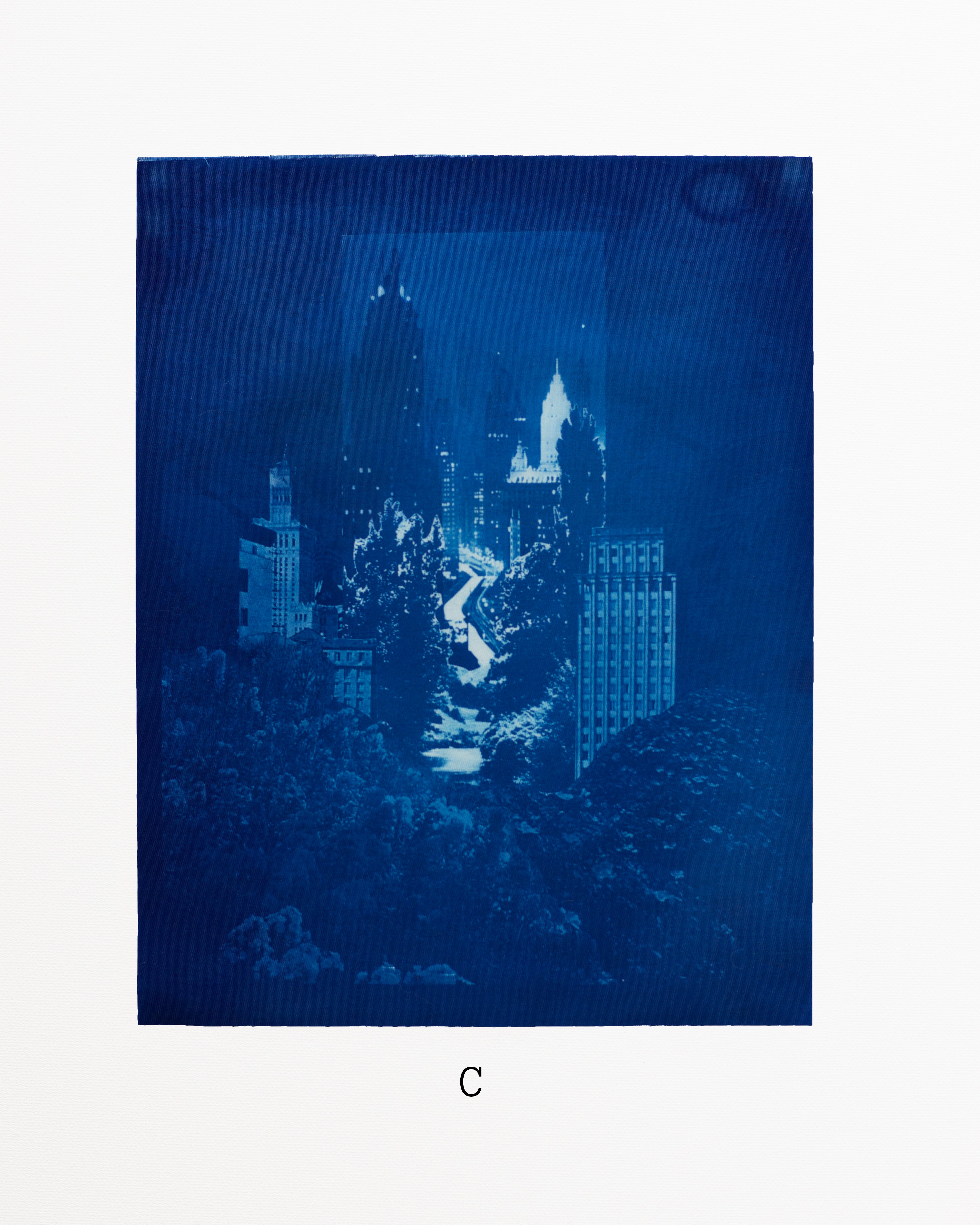 Blue cityscape cyanotype print with trees and buildings on a white background
