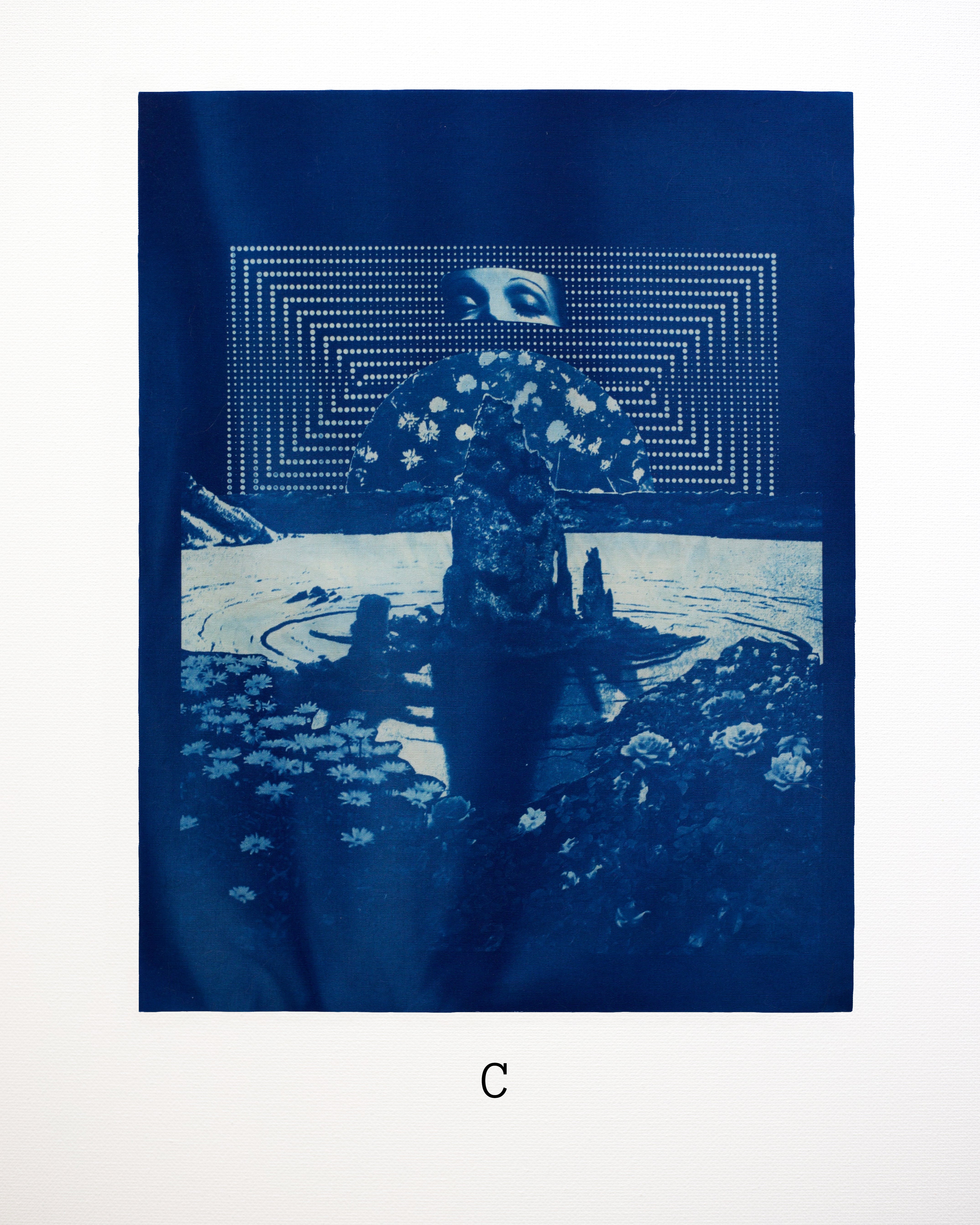 Blue-toned cyanotype artwork with a eyes holding overlooking a body of water and flowers