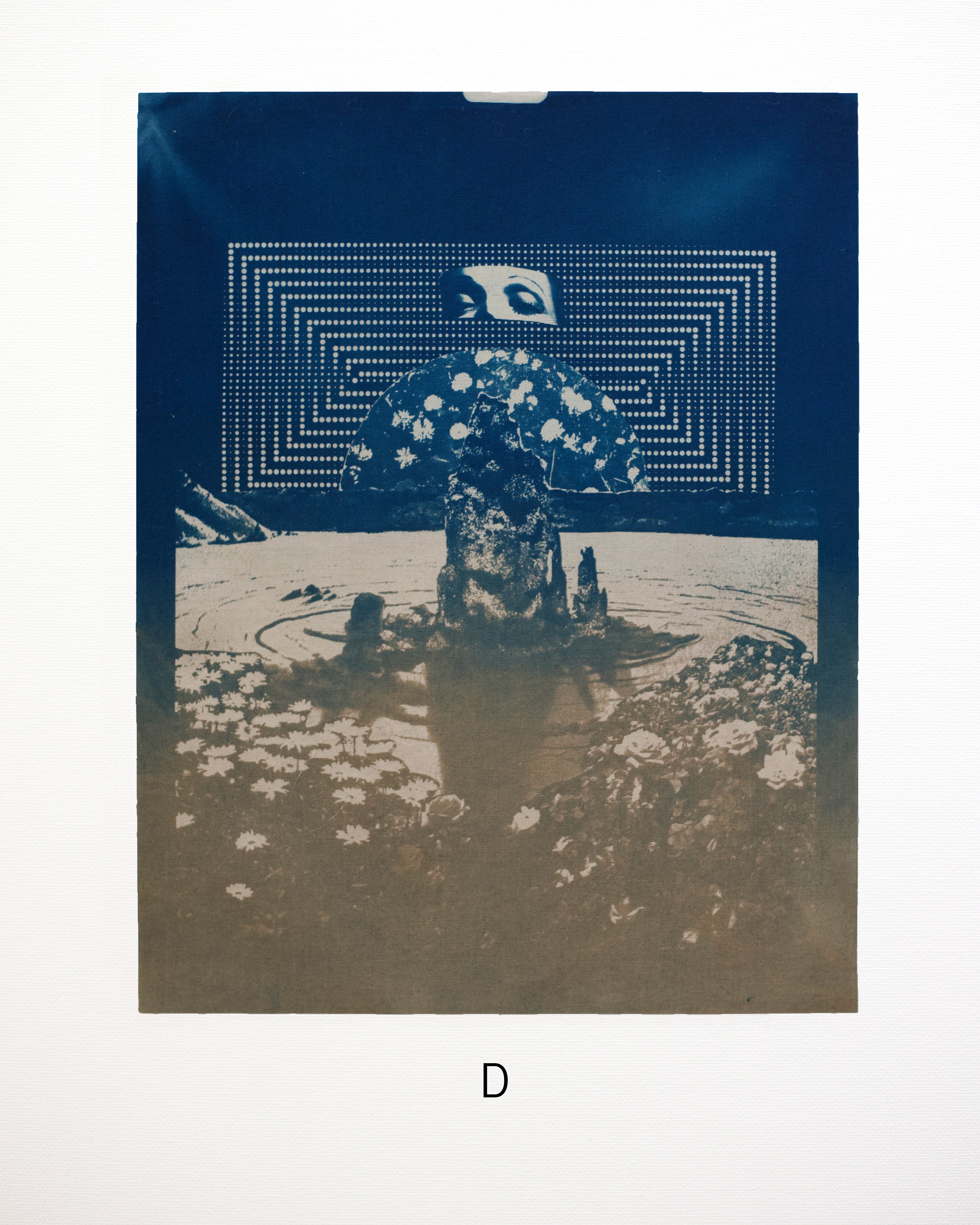 Blue-toned cyanotype artwork with a eyes holding overlooking a body of water and flowers