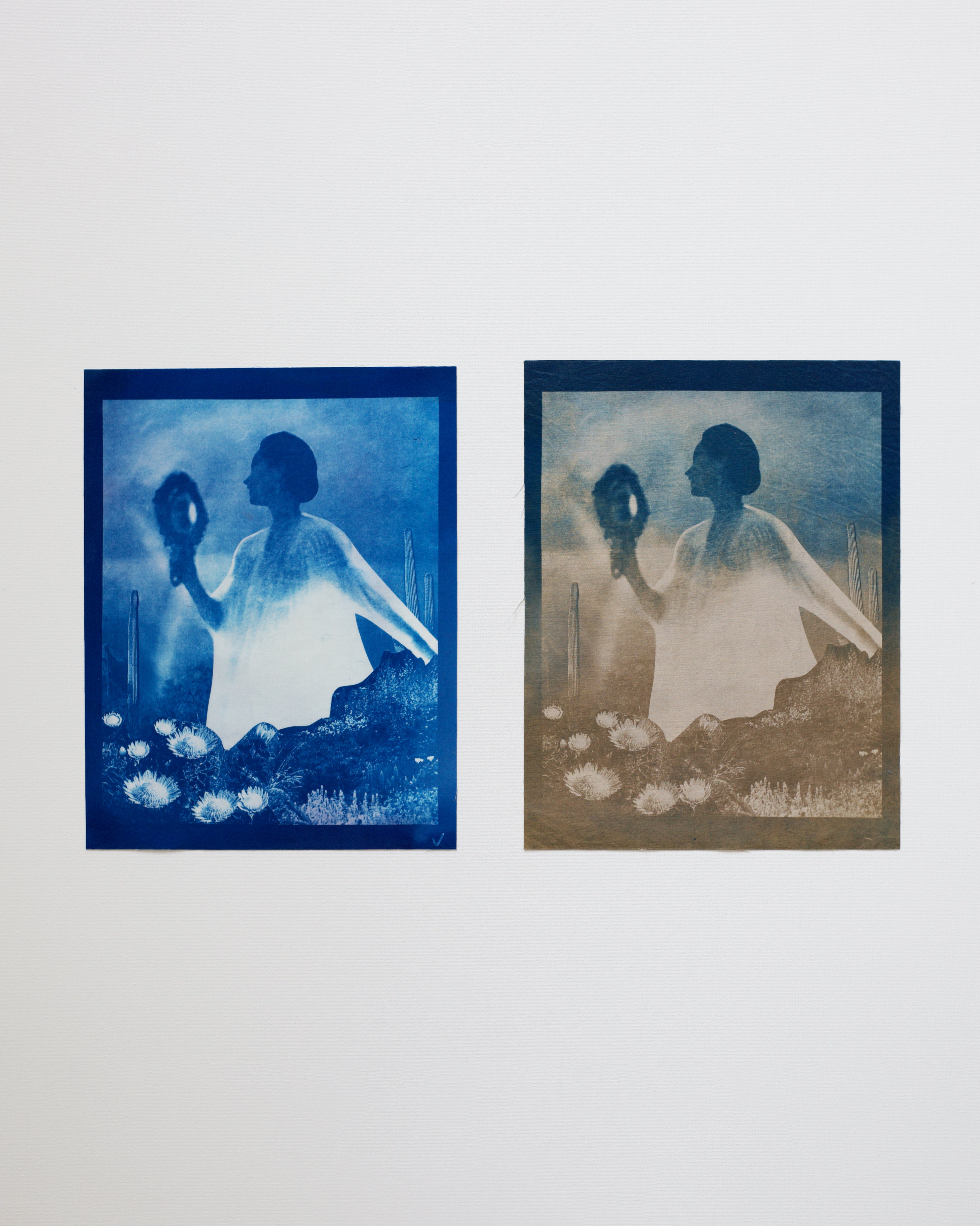 Two blue-toned cyanotype prints of a woman in a field with flowers on a white background