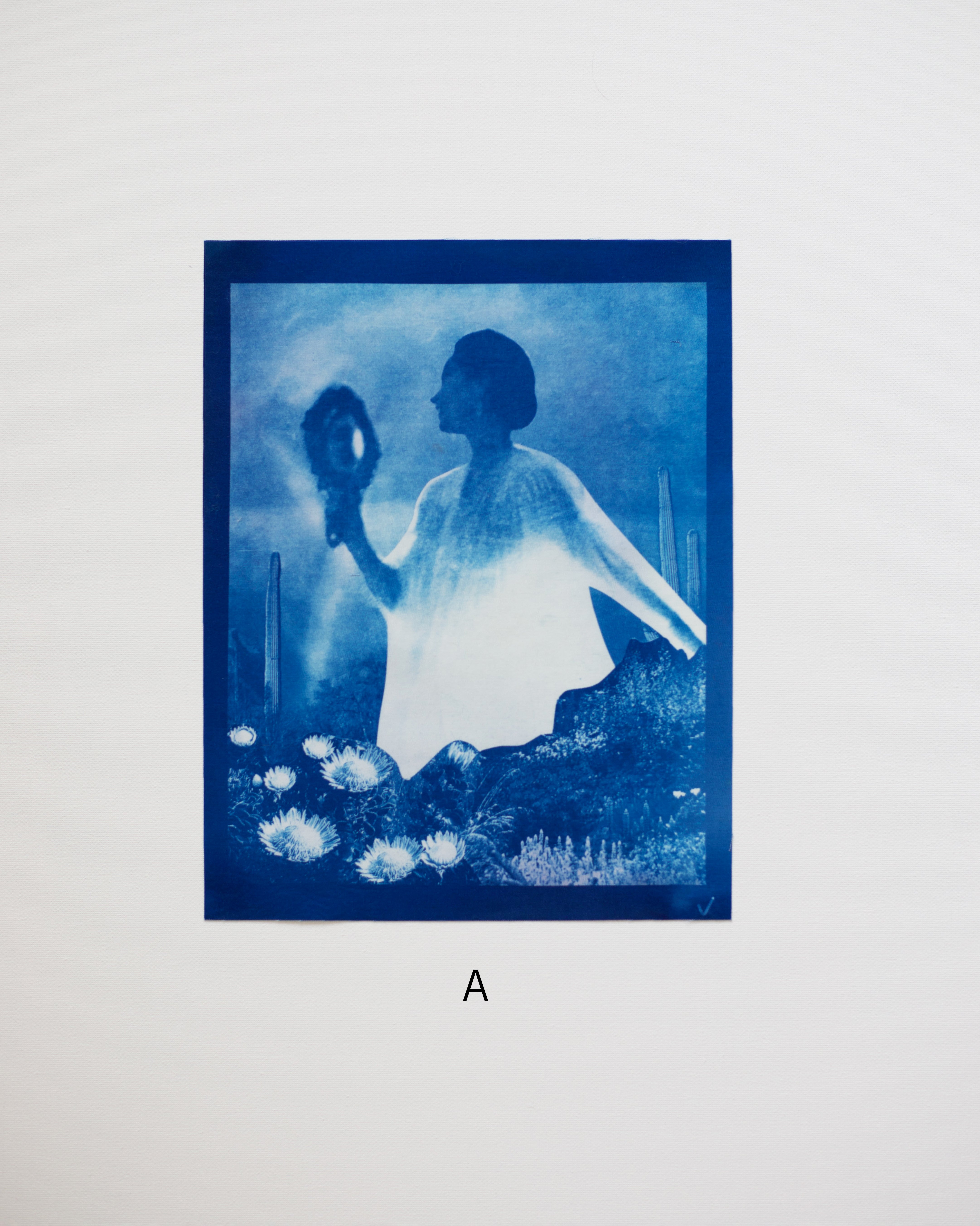 Cyanotype print of a silhouette of a person in a garden on a white background